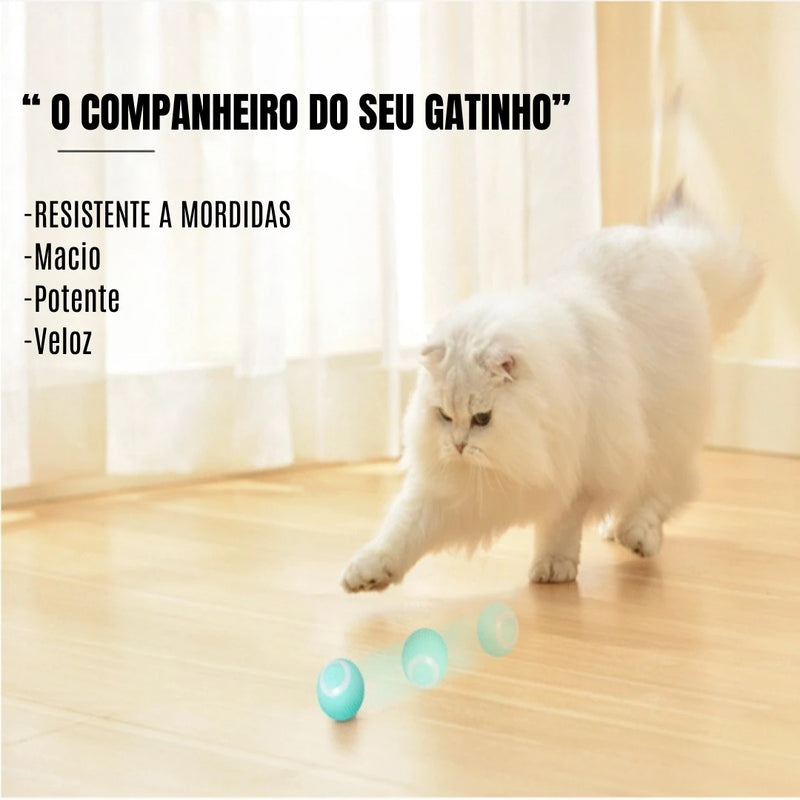 ⚡ Bola Interativa Automática para Gatos – Carregamento USB | DAFUSHOP-BRASIL