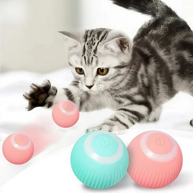 ⚡ Bola Interativa Automática para Gatos – Carregamento USB | DAFUSHOP-BRASIL