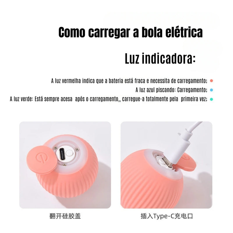 ⚡ Bola Interativa Automática para Gatos – Carregamento USB | DAFUSHOP-BRASIL