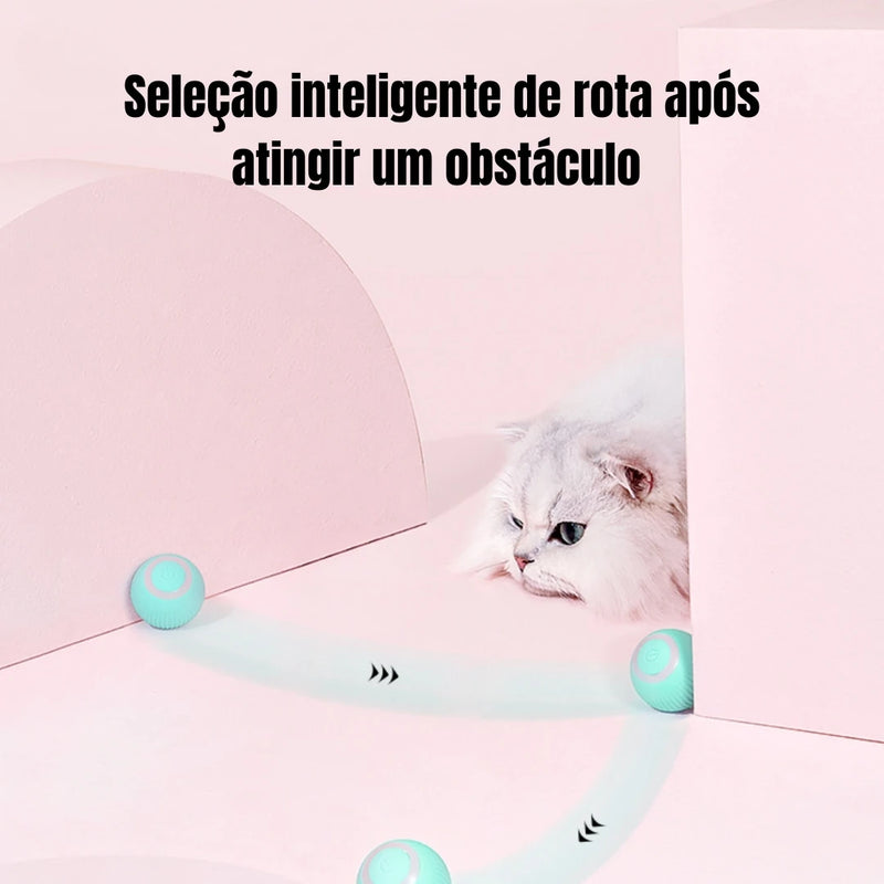 ⚡ Bola Interativa Automática para Gatos – Carregamento USB | DAFUSHOP-BRASIL