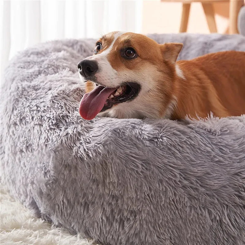 🐶 Cama Redonda Super Macia de Pelúcia para Cães e Gatos – Inverno Quentinho 🐱