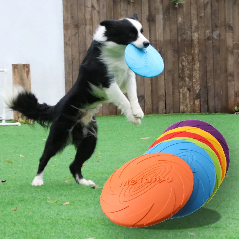 🥏 Disco Voador de Plástico para Cães – OUZEY
